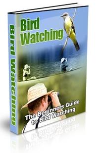 birdwatching