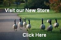 duck image